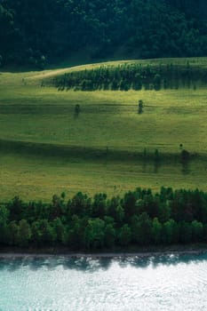 Beautiful view of mountain river Katun and green valley in summer,Altai Mountains