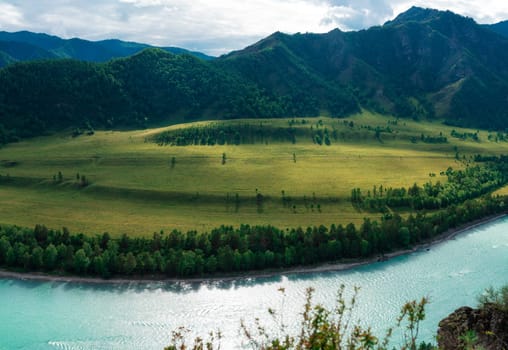 Beautiful view of mountain river Katun and green valley in summer,Altai Mountains