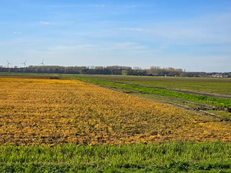 Glyphosate on farmland in the Netherlands, Effect of glyphosate herbicide sprayed on grass weeds