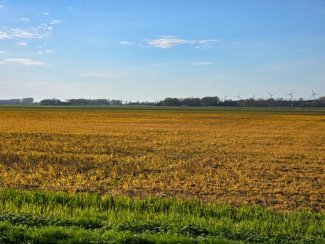 Glyphosate on farmland in the Netherlands, Effect of glyphosate herbicide sprayed on grass weeds prepare for new farm season on agriculture field