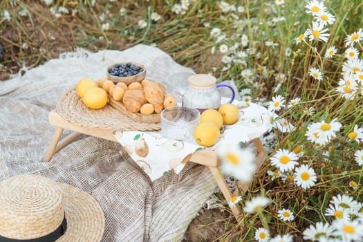 Picnic in the chamomile field. A large field of flowering daisies. The concept of outdoor recreation