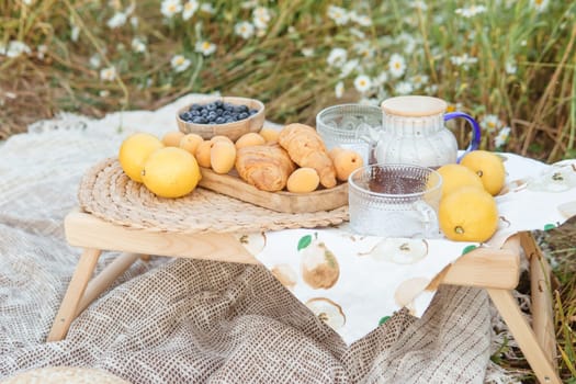 Picnic in the chamomile field. A large field of flowering daisies. The concept of outdoor recreation