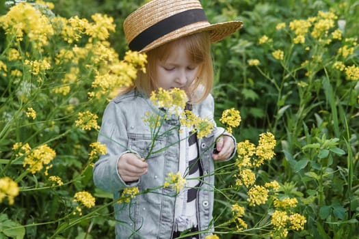 Blonde girl in a field with yellow flowers. A girl in a straw hat is picking flowers in a field. A field with rapeseed