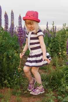 A blonde girl in a field with purple flowers. A little girl in a pink hat is picking flowers in a field. A field with lupines.