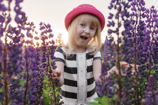 A blonde girl in a field with purple flowers. A little girl in a pink hat is picking flowers in a field. A field with lupines.