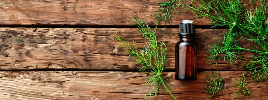 fennel essential oil in a bottle. Selective focus. Nature.