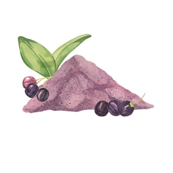 Dry maqui berry powder composition with leaves and fresh berries. Hand drawn watercolor illustration of Chilean wineberry plant isolated on white background. Aristotelia chilensis design elements for printing, packaging, food supplements, cards