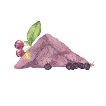 Dry maqui berry powder composition with leaves, fresh and dry berries. Hand drawn watercolor illustration of Chilean wineberry plant isolated on white background. Aristotelia chilensis design elements for printing, packaging, food supplements, cards