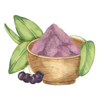 Dry maqui berry powder in a wooden bowl as composition with leaves, fresh berries. Hand drawn illustration of Chilean wineberry plant isolated on white background. Aristotelia chilensis design elements for printing, packaging, food supplements, cards