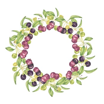 Wreath frame with blank space maqui berries. Hand drawn watercolor illustration of Chilean wineberry plant isolated on white background. Aristotelia chilensis design elements for printing,packaging, food supplements, apparel, textile,cards