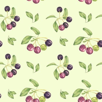 Seamless pattern with maqui berries and leaves. Hand drawn watercolor illustration of Chilean wineberry plant isolated on light green background. Aristotelia chilensis design elements for printing,packaging, food supplements, apparel, textile,cards