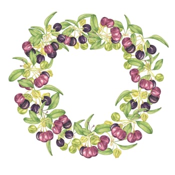 Wreath frame with maqui berries. Hand drawn watercolor illustration of Chilean wineberry plant isolated on white background. Aristotelia chilensis design elements for printing,packaging, food supplements, apparel, textile,cards