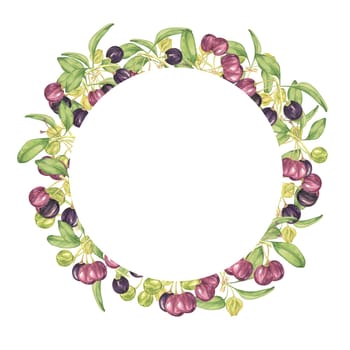 Wreath frame with blank space maqui berries. Hand drawn watercolor illustration of Chilean wineberry plant isolated on white background. Aristotelia chilensis design elements for printing,packaging, food supplements, apparel, textile,cards