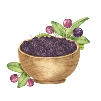 Dry maqui berries in a wooden bowl as composition with leaves, fresh berries. Hand drawn illustration of Chilean wineberry plant isolated on white background. Aristotelia chilensis design elements for printing, packaging, food supplements, cards