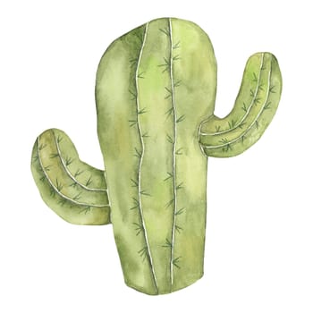 Watercolor cactus illustration. Tropical succulent clipart isolated on white background. Rustic botanical design element for printing, cards, posters, wall art, packaging, banners, party decoration