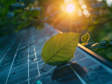 Green leaf is over a solar panel. Macro closeup concept of sustainable energy and nature. . Ai generated