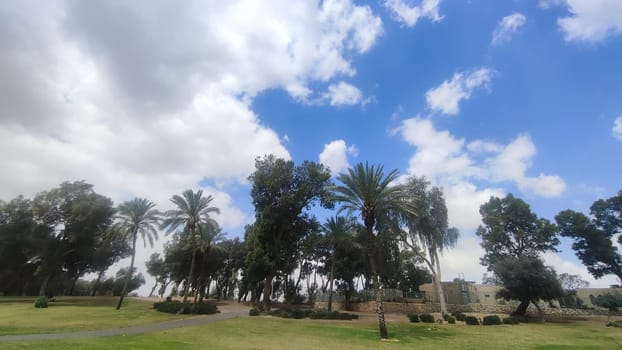 green park spring summer, trees, grass, leaves and sky, landscape. High quality photo