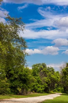 Lake Apopka Loop Trail, Florida