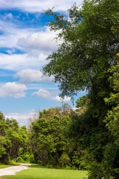 Lake Apopka Loop Trail, Florida