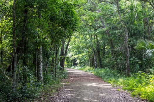 Lake Apopka Loop Trail, Florida