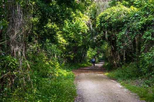 Lake Apopka Loop Trail, Florida