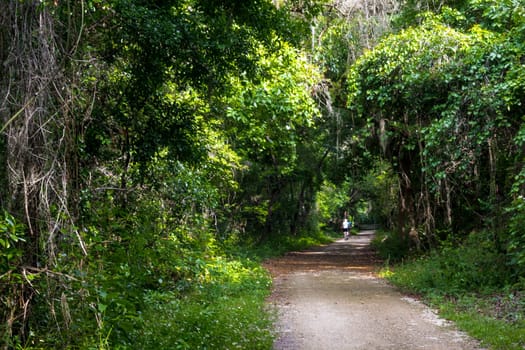 Lake Apopka Loop Trail, Florida