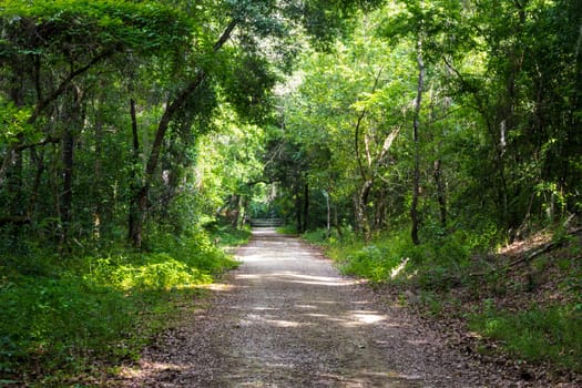 Lake Apopka Loop Trail, Florida