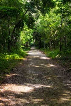 Lake Apopka Loop Trail, Florida