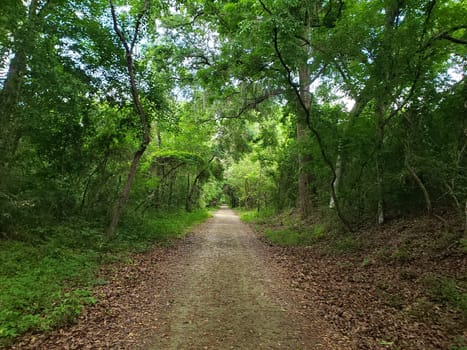 Lake Apopka Loop Trail, Florida