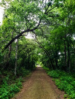 Lake Apopka Loop Trail, Florida