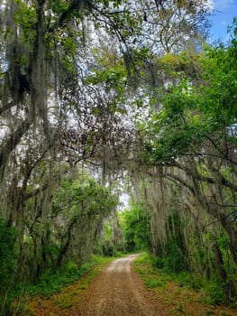 Lake Apopka Loop Trail, Florida