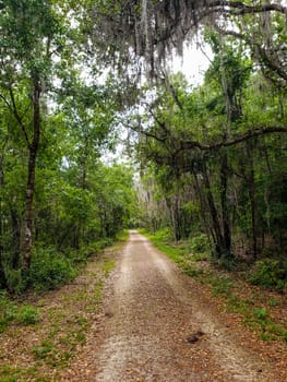Lake Apopka Loop Trail, Florida
