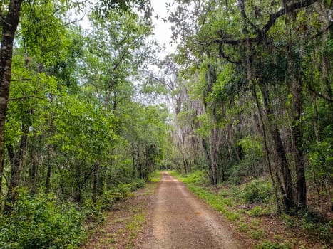 Lake Apopka Loop Trail, Florida