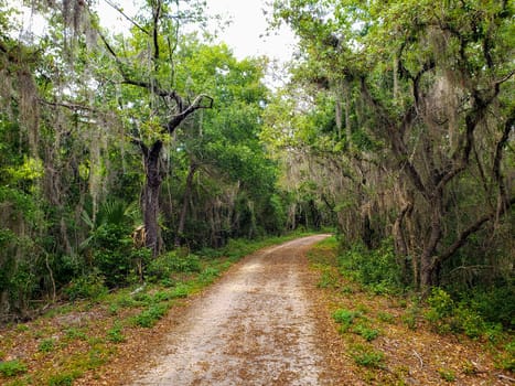 Lake Apopka Loop Trail, Florida
