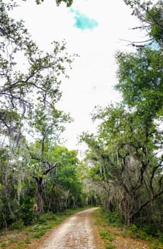 Lake Apopka Loop Trail, Florida