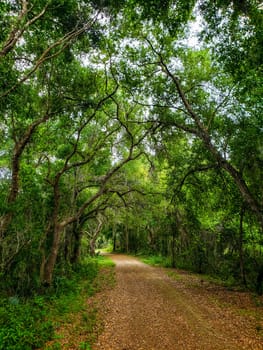 Lake Apopka Loop Trail, Florida