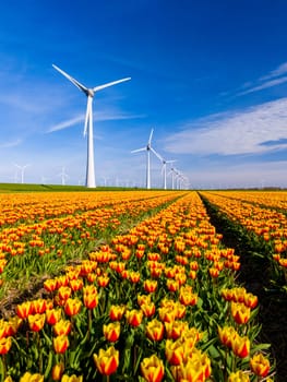 A breathtaking view of a field filled with vibrant yellow and red tulips stretching as far as the eye can see, with majestic windmills standing tall in the background under a clear blue sky.