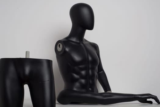 Gloss black color mannequin male disassembled into parts - image