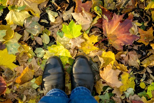 Fall, autumn, leaves, legs and shoes. Conceptual image of legs in boots on the autumn leaves. Feet shoes walking in nature