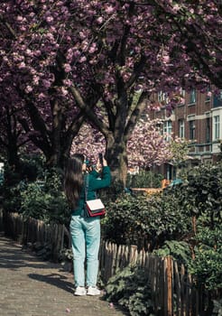 One young beautiful caucasian brunette girl with long flowing hair in a green jacket from the back stands on a city street and shoots a video of flowering sakura trees on a smartphone, side view close-up.