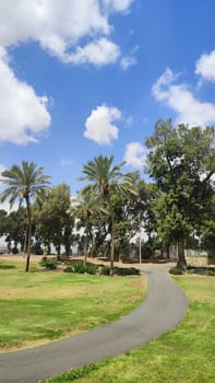 green park spring summer, trees, grass, leaves and sky, landscape. High quality photo