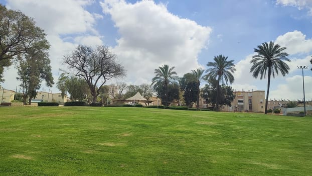 green park spring summer, trees, grass, leaves and sky, landscape. High quality photo