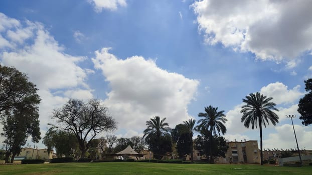 green park spring summer, trees, grass, leaves and sky, landscape. High quality photo