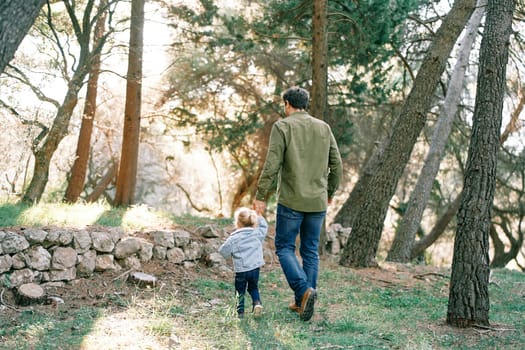 Dad and a little girl walk hand in hand through the forest to the stone fence. Back view. High quality photo