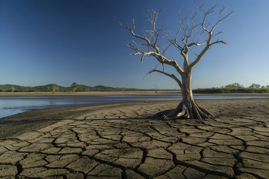 Solitary barren tree stands on sun-baked earth with deep cracks, symbolizing drought in dry, arid landscape with clear blue sky.