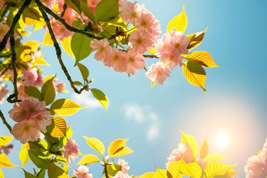 Vibrant cherry blossoms and fresh green leaves bask under warm sunlight against a clear blue sky, conveying renewal and nature's beauty.