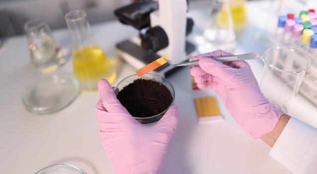 Laboratory analysis of soil. Scientist measures pH of soil sample with litmus strips. Agrochemical soil survey