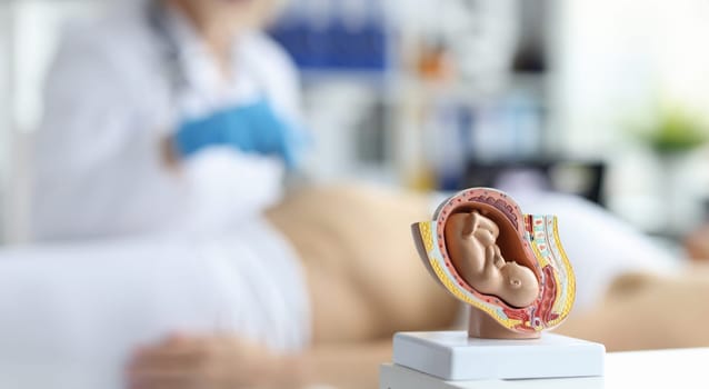 Ultrasound test and ultrasound of baby fetus during pregnancy. Gynecologist checks life of fetus using a scanner