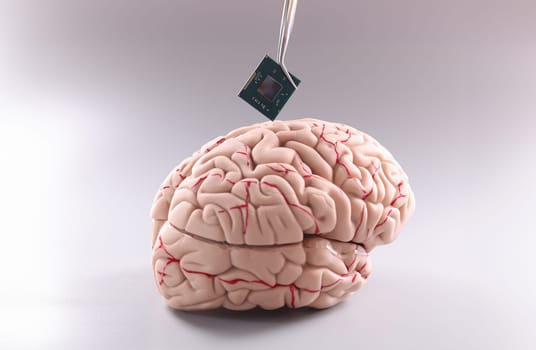 Anatomy of human brain with computer chip. Artificial intelligence chips concept