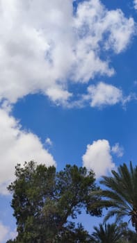 blue sky, white clouds background spring nature weather atmosphere, trees. High quality photo